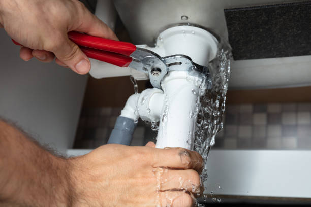 Best Water damage cleanup near me  in Antelope, CA