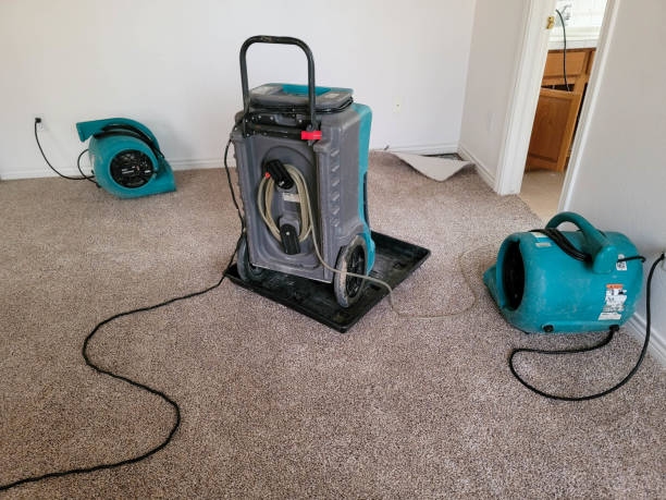 Best Carpet water damage restoration  in Antelope, CA