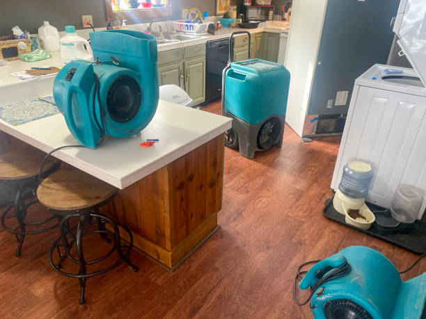 Best Flood damage cleanup  in Antelope, CA