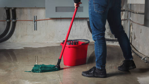Water damage restoration experts in Antelope, CA