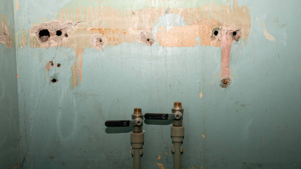 Best Fire Damage Restoration  in Antelope, CA