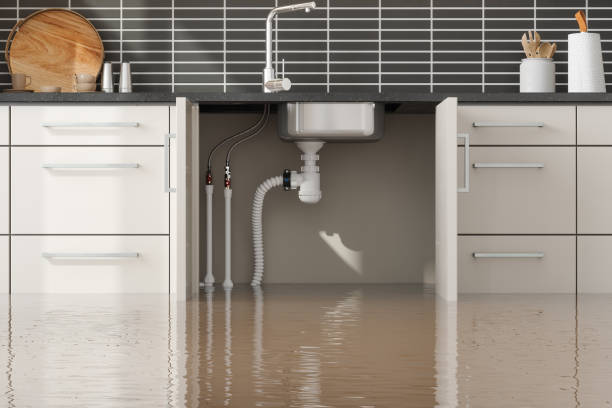 Best Sewage cleanup and water damage restoration  in Antelope, CA