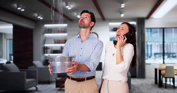 Best Mold removal after water damage  in Antelope, CA