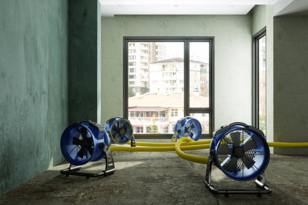 Best Commercial water damage restoration  in Antelope, CA