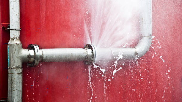 Best Professional water damage repair  in Antelope, CA